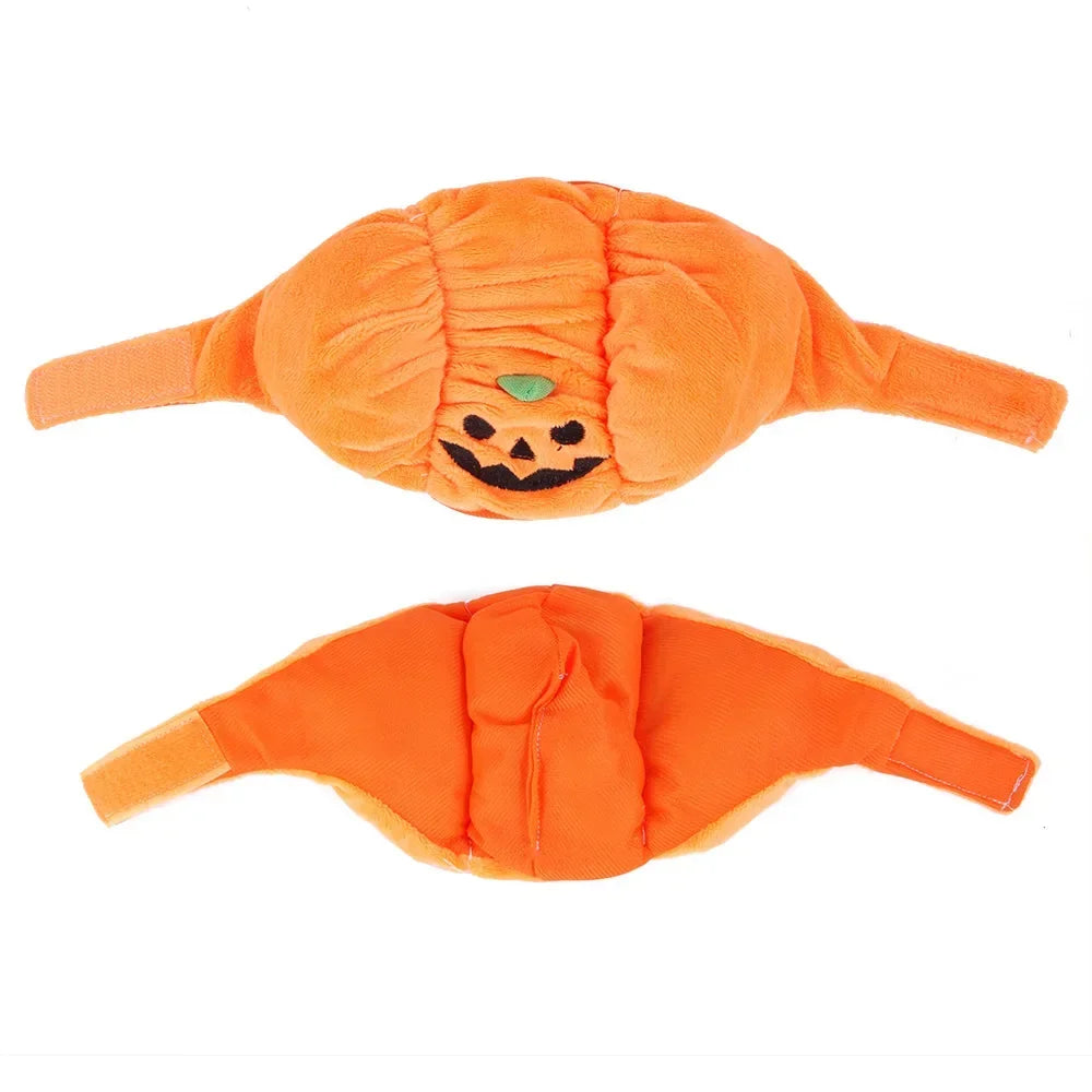 Halloween Pumpkin Pet Hat – Cute Costume for Cats & Small Dogs