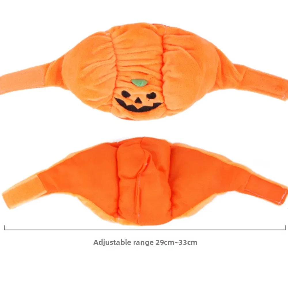 Halloween Pumpkin Pet Hat – Cute Costume for Cats & Small Dogs