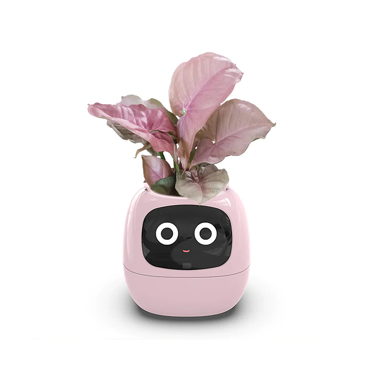 Ivy Smart Planter – Interactive Pot with AI and 49 Expressions