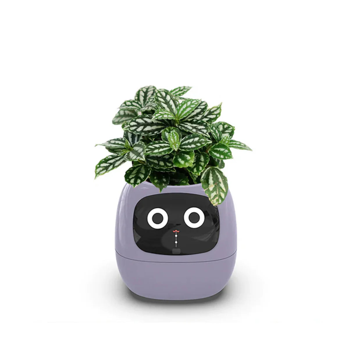 Ivy Smart Planter – Interactive Pot with AI and 49 Expressions