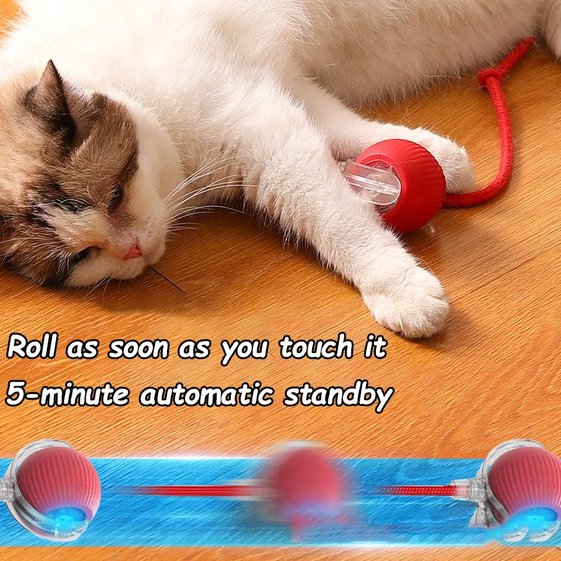 Smart Cat Ball Toy – Rechargeable, Auto-Rolling with Faux Tail